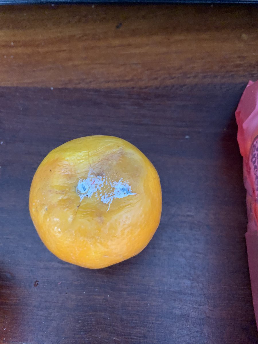 fongchau's tweet photo. @Tesco order arrived yesterday and there’s already mould on this satsuma. I’ve had it for less than 24 hours. Unacceptable https://t.co/mchXWHFipj