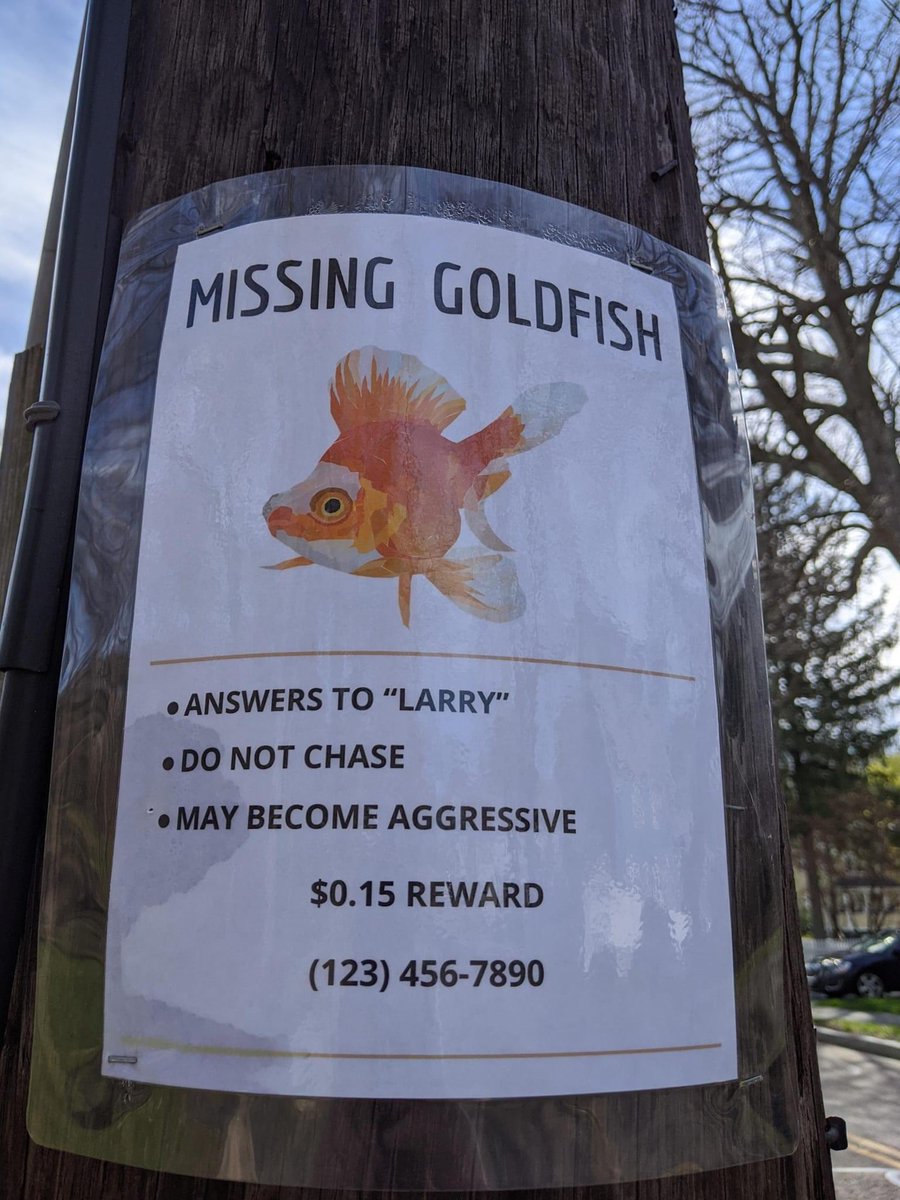Scot_Marshy's tweet photo. Someone needs help..please keep an eye out when youโre out and about today and #FindLarry ๐ https://t.co/yRz5bPpwbL