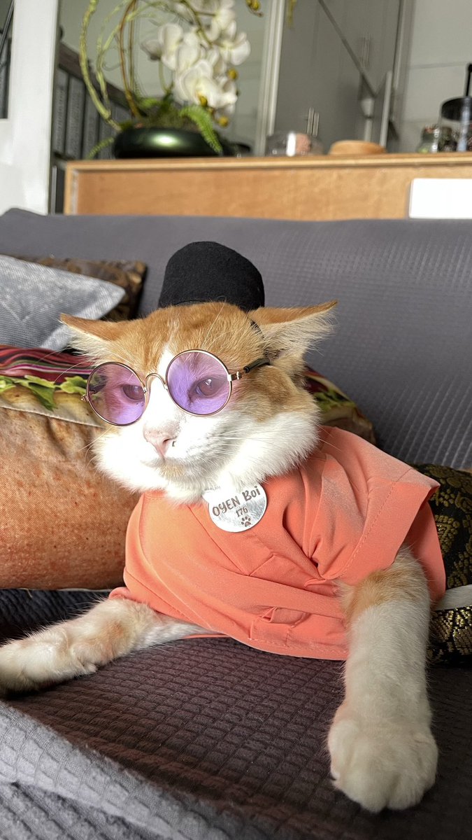 BangZam 👨‍🍳🍔 tweet media