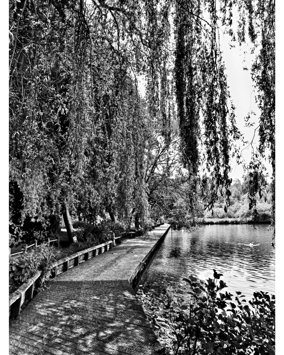 gedeclectic's tweet photo. Moses Gate Country Park Bolton Manchester

#bnw #bw #bnwphotography
#monochrome #photooftheday
#bnw_captures #bwphotography 
#bnwphoto #instaphoto #fineartphotography
#travelphotography #blackwhitephotography
#manchester #manc
#bolton #countryside

IG &amp; TW @gedeclectic https://t.co/VAEYLezrcy