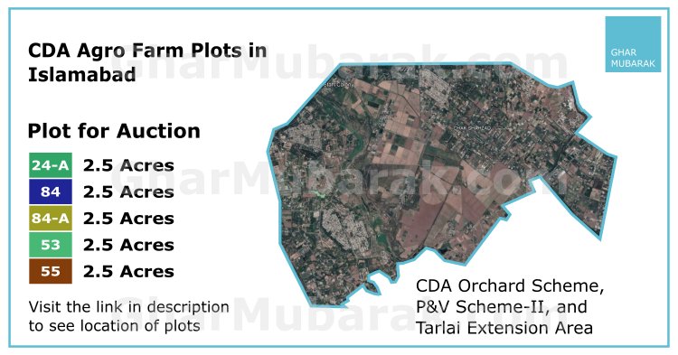 GharMubarakPK's tweet image. CDA is selling #AgroFarm plots in the Orchard Scheme, P&amp;amp;V Scheme-II Sehana Extension, and Tarlai Extension around Islamabad to #OverseasPakistanis and resident Pakistanis.

gharmubarak.com/cda-offers-rea…

#CDAsector #plotsinislamabad #InvestInPakistan #farmhouse #IslamabadFarms #farming