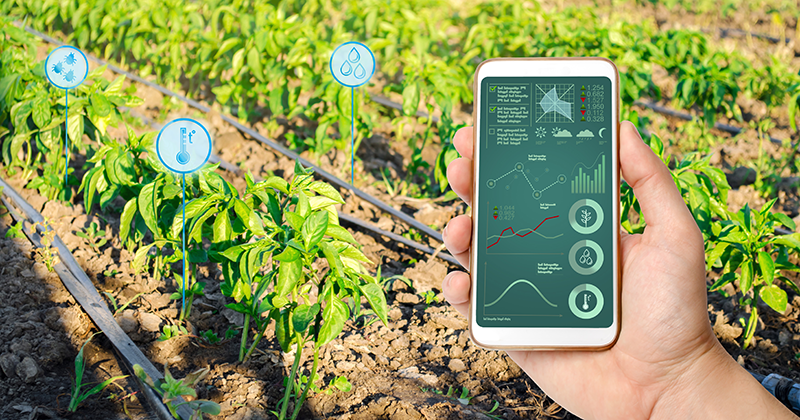IrwiseSA's tweet image. Experience the power of wireless irrigation control with IrWise. Manage your watering schedule, monitor soil moisture, and conserve water with ease. 📱💧 #irwise #WirelessControl #waterconservation