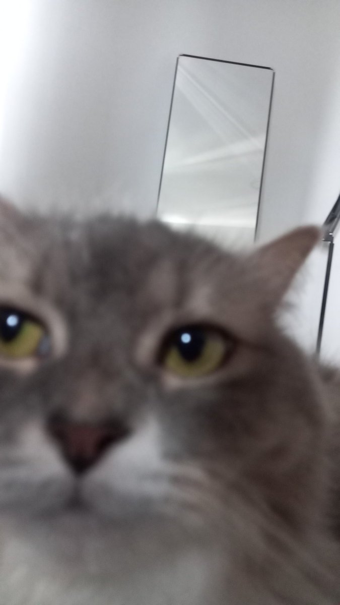 SeekNStrike tweet media