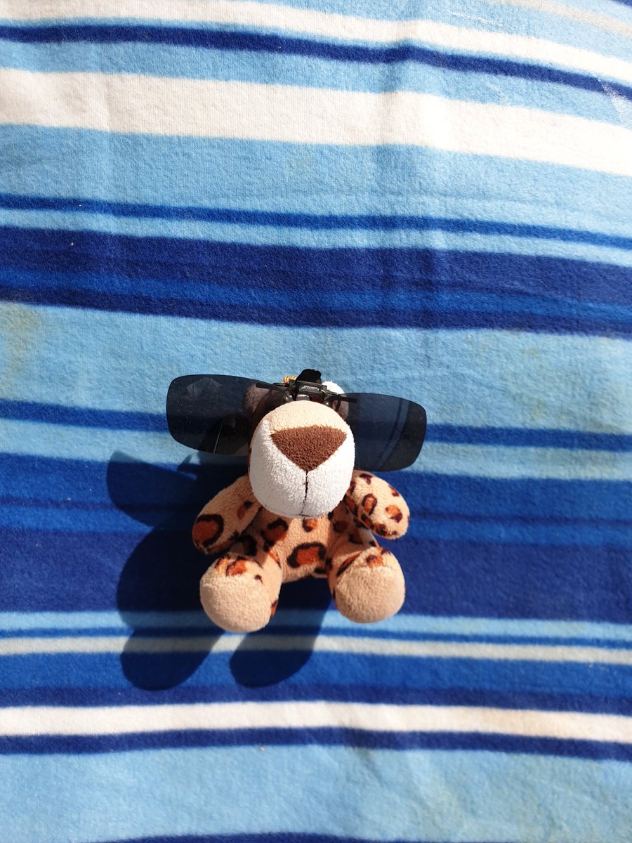 Flying_APU's tweet photo. Und ihr so...? https://t.co/kELqrl0xr0
