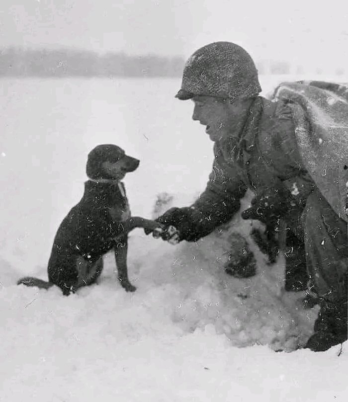 US soldier shaking hand with a dog, Luxembourg 1944.