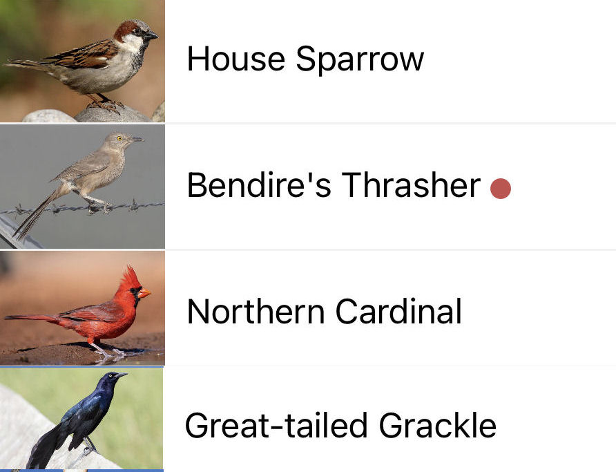 Solange Whitehead tweet media