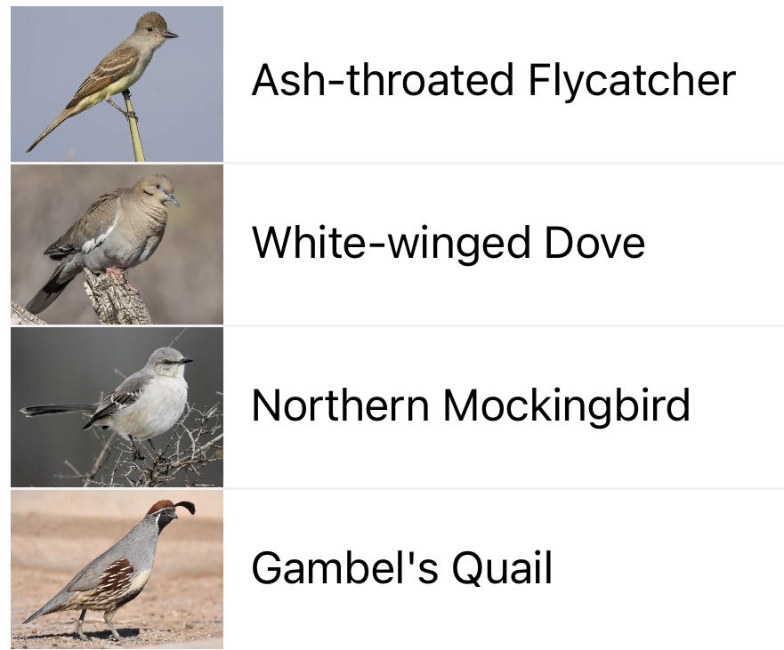 Solange Whitehead tweet media