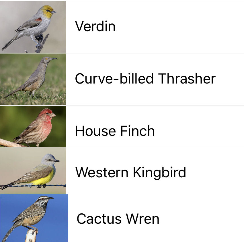 Solange Whitehead tweet media