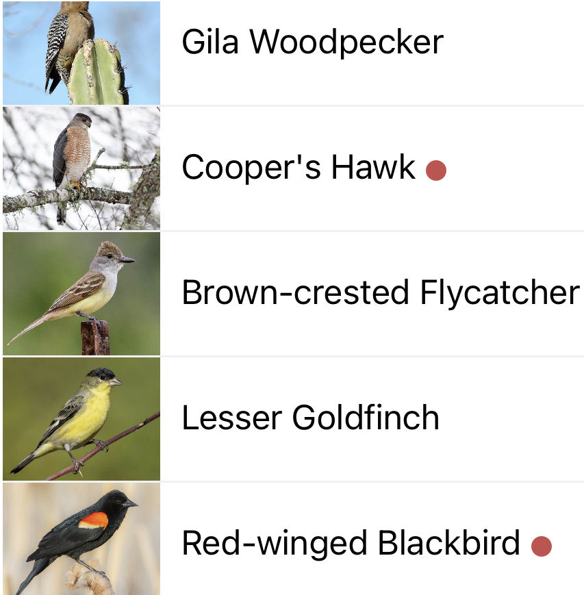 Solange Whitehead tweet media