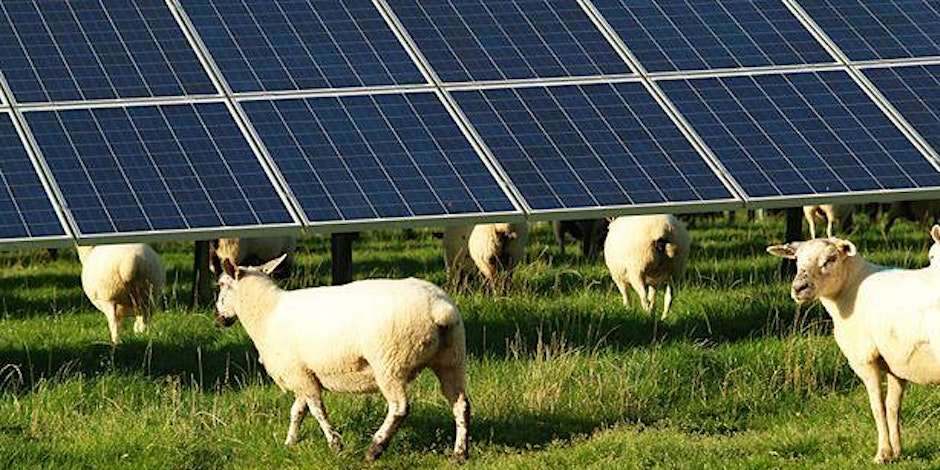 A date for your diary!  <a href="/power_dragonfly/">Dragonfly Power</a> and <a href="/TestValleyBC/">Test Valley BC</a> invite you to our Test Valley Community Energy launch event!
eventbrite.co.uk/e/test-valley-…