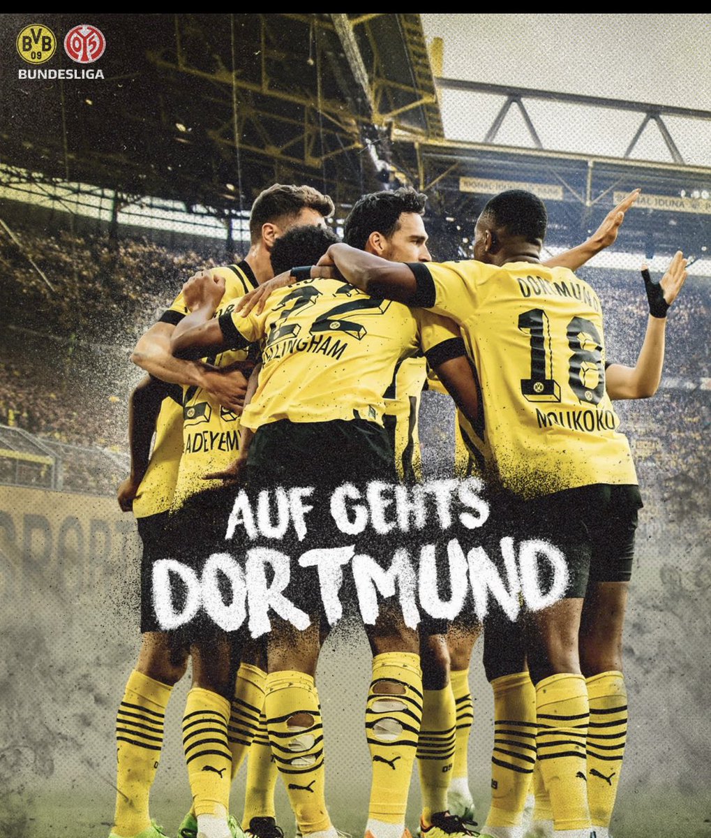 Endlich Endlich warten wir auf solche spiele Deutsch meister nur BVB heja BVB.