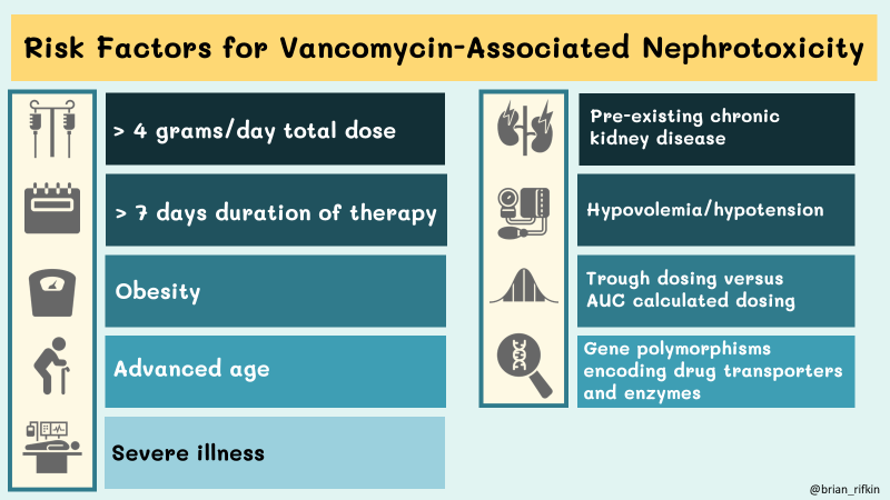 KIReports's tweet photo. Clinical factors like advanced age, pre-existing CKD, hypotension, severe illness, and obesity (due to improper dose calculations) increase the risk of nephrotoxicity. Genetic polymorphisms can also influence vancomycin metabolism. https://t.co/R97g0J2OXu