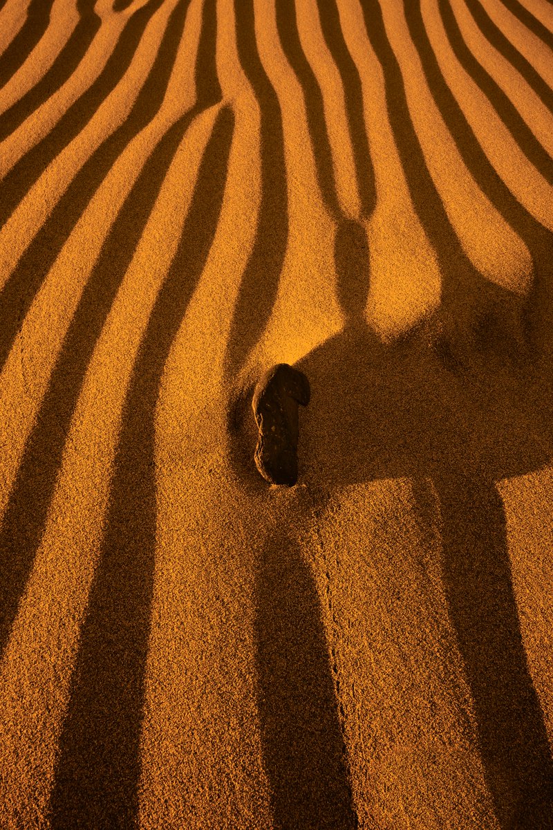 Another shot minted into 'Sea of Sand and Dunes'

'In the middle'
5eds 4xtz

The sunrise in Las Dunas de Maspalomas is always a beautiful experience
#photez #tezos #objkt #CanaryIslands
🔗⬇️