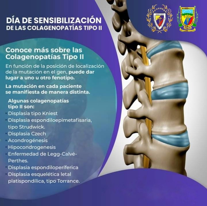 #27May || Día de Sensibilización de las Colagenopatías Tipo II. El colágeno, conocido como el "cemento del cuerpo", proporciona estructura y resistencia a los tejidos conectivos que sostienen los músculos, las articulaciones, los órganos y la piel.