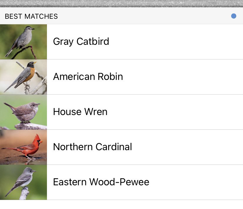 I love the free @MerlinBirdID app from @CornellBirds. Here’s what I “identified” and recorded in my backyard this morning in less than a minute. #Ohio #Birds