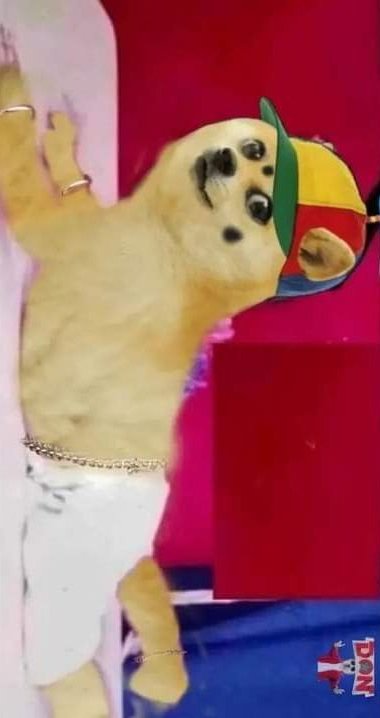 LEO_Dassssss's tweet image. Quote with ur childhood pic 🥰

Mine : 😹
#LeoFilm #BloodySweet #jeni #Thalapthy68 #Hepsibhavijay @actorvijay