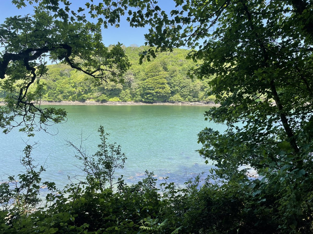 Towan Beach around to St Anthony Head onto Place & back around to Porth 😍