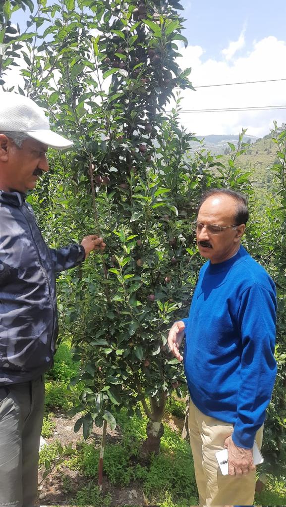 Met a pioneer in high density fruit  plantations today at his farm in Kotkhai in Himachal Pradesh. #PremChauhan cultivates 20,000 plants of apples and stone fruits in his 2 acre plantation. He is widely recognised and awarded as an agripreneur. Lot to learn from him.