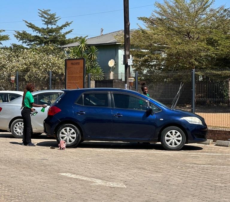 The feeling of seeing others earn a living off your "crazy ideas" is priceless. 🙌🏾

<a href="/Greenwashzm/">Green Wash Zambia</a>

#selfstyledking