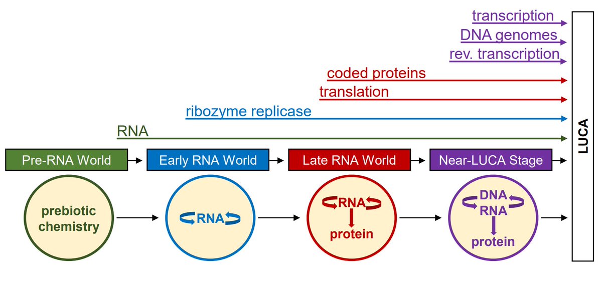RNAJournal's tweet image. A synthesis of origin of life research demonstrates how inanimate matter evolved into the first cells, indicating that RNA arose before coded proteins and played a central role in life’s origins  #OriginofLife #RNAWorld #Evolution bit.ly/3LTeDmV