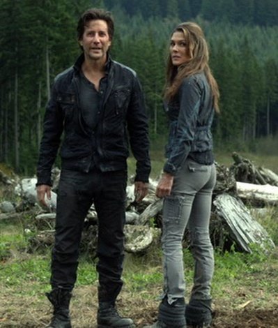 Daily Paige Turco tweet media