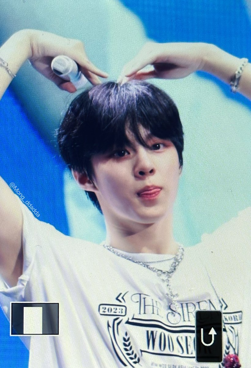 자몽 tweet media