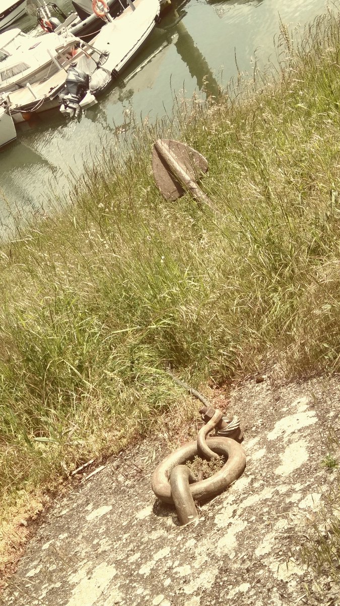 Michael57442709's tweet image. #P55