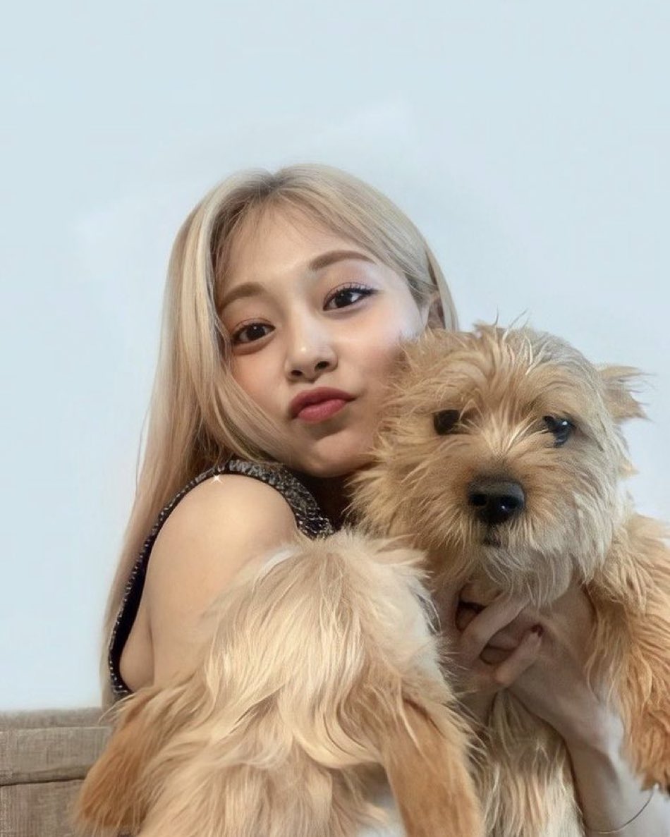 Chienmyoi's tweet photo. Boo being held by Mina and Tzuyu, but he’s giving these kind of expressions?! The audacity of this dog! 😭🤣 https://t.co/37VEkWrIRp
