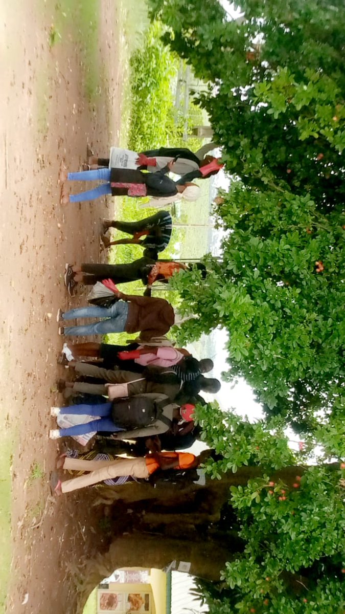 ggiclimate's tweet photo. Natural Environment create a kind of ambience you will always love to embrace @KwaraCampusSeedDrive23, we #CatchFun #HarvestSeeds #HarvestPlantParts #ExamineSpecimens #NaturalPictures & #EmbraceNature.
@JCI_UNILORIN @Ufsa @Greenunilorin #NatureLovers https://t.co/2vYxjlA05S https://t.co/KlFvGoCd3t