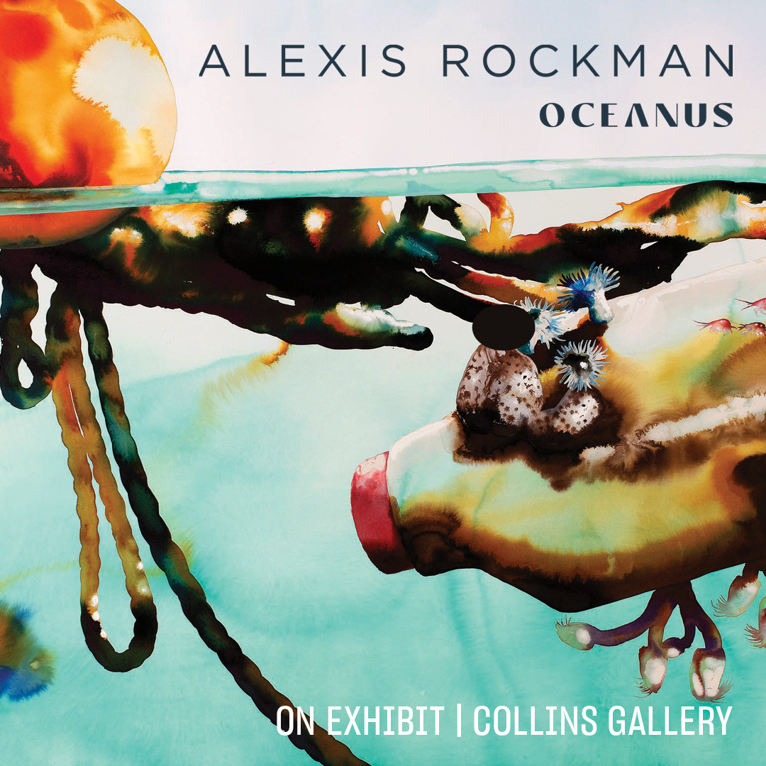 ALEXIS ROCKMAN: OCEANUS is now on exhibit!

Take a journey of global discovery beneath the world’s changing seas, deftly weaving natural history, archeology, adventure, political analysis, and science into a story about the human condition.  

 mysticseaport.org/exhibit/oceanu…