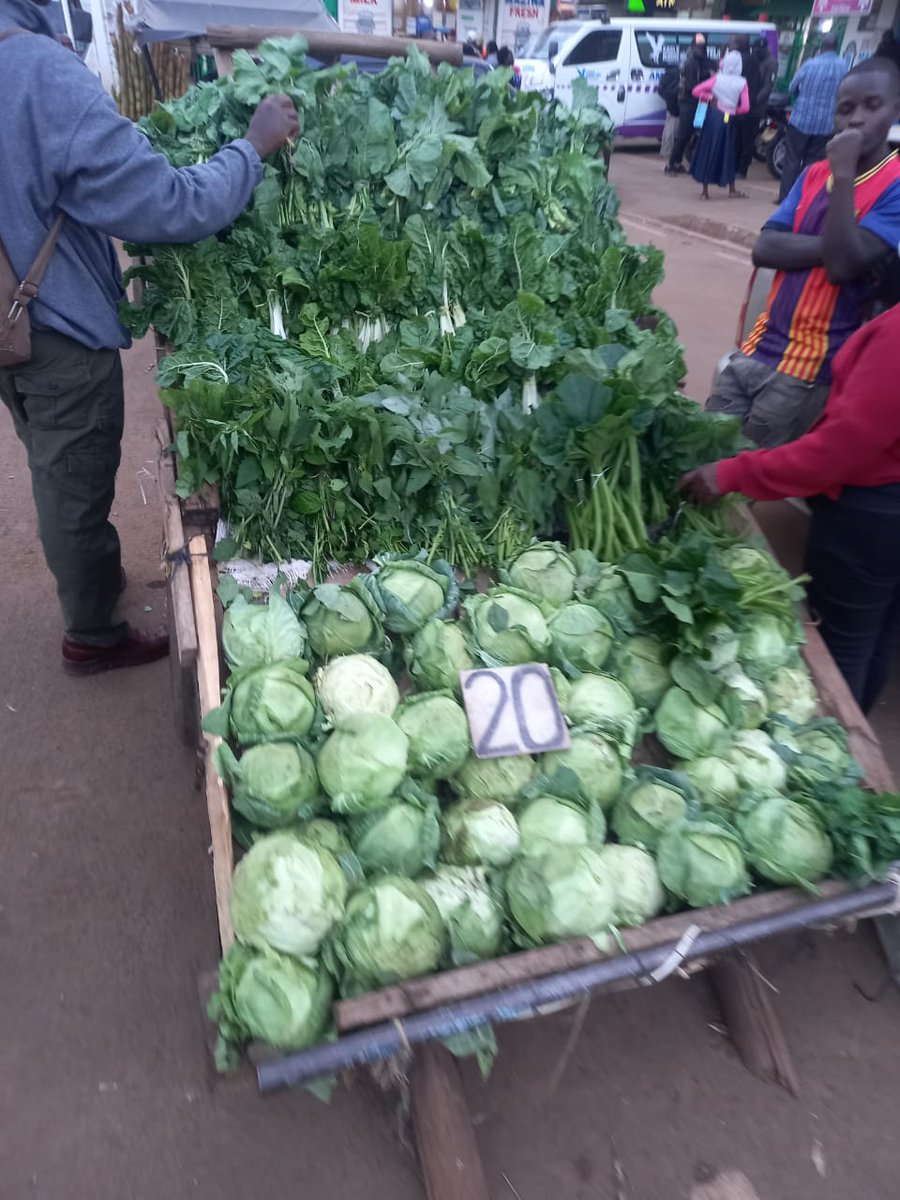 bizgrades's tweet photo. We deal in organic farm produces https://t.co/coVvrkxSaU