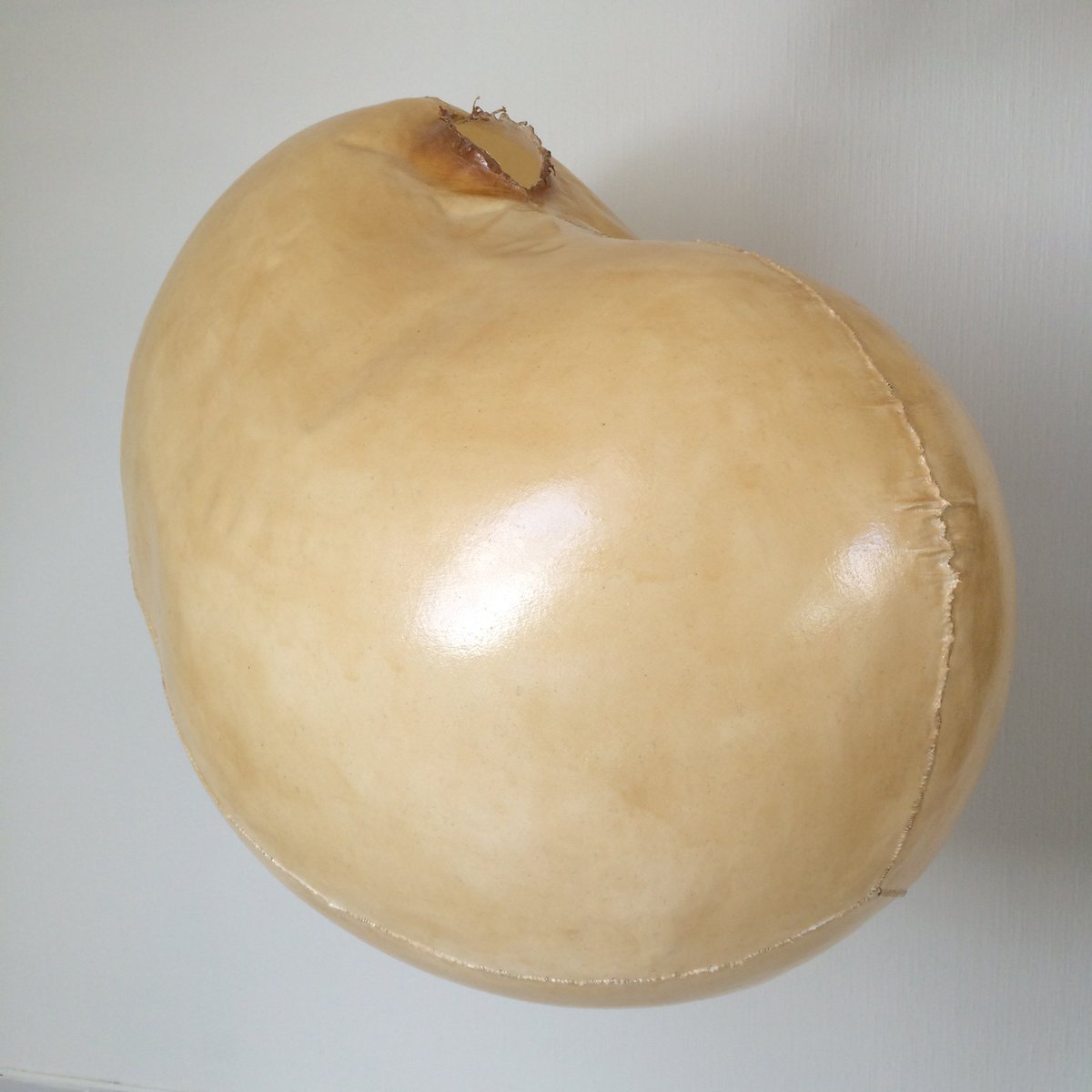 gm  🫂

Sculpture by <a href="/tuvawiden/">Tuva Widén</a> Soon for the #ai to evolve...#wip #hyperthermia