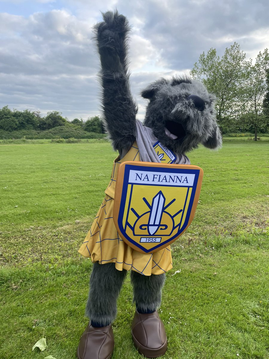 CLG Na Fianna tweet media