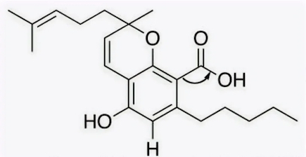 Cannabinoid Clinic: CBCA

Cannabichromenic acid (CBCA) is a minor cannabinoid and was first isolated in 1968 by Japanese researchers...

mrstinkysgreengarden.com/2022/12/cannab…