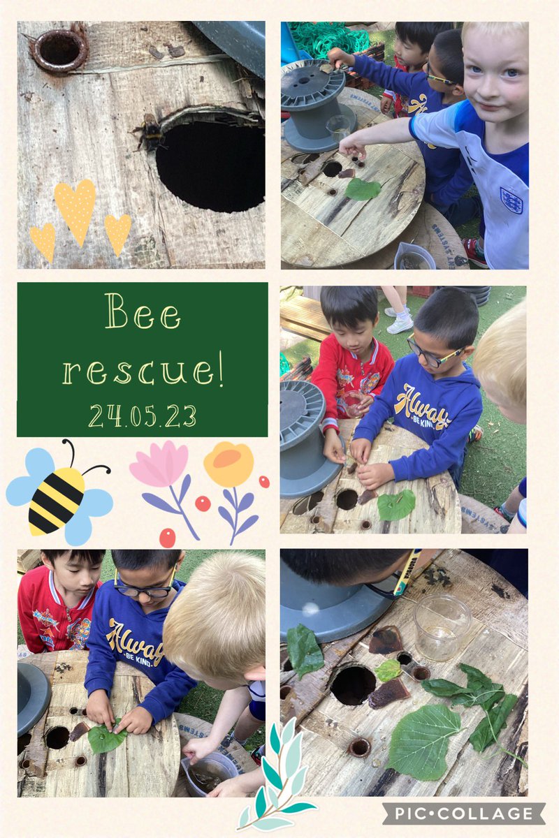 Reception L tweet media