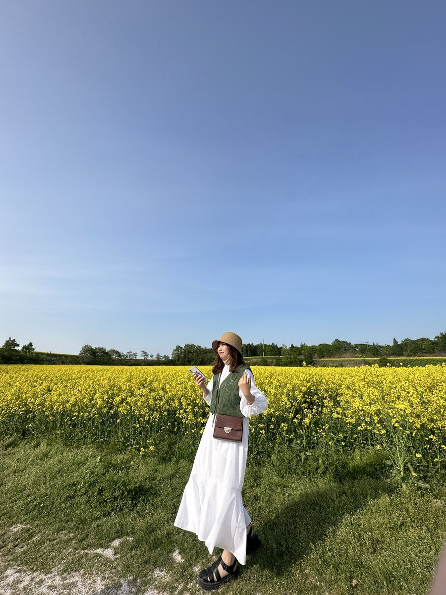 Yc2Ott's tweet photo. 菜の花めちゃ綺麗だったよ🫰🏻 https://t.co/rtjQIN1Ydn
