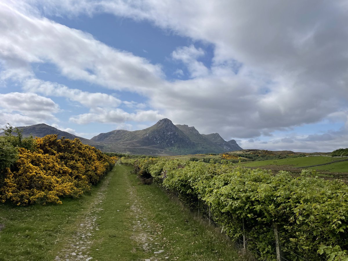 leecooper66's tweet photo. A day in the far north yesterday. The fabulous Ben Loyal (Corbett). Such a shame the clouds rolled in as the views were terrific 🙂 https://t.co/KN7Dqnyr8y