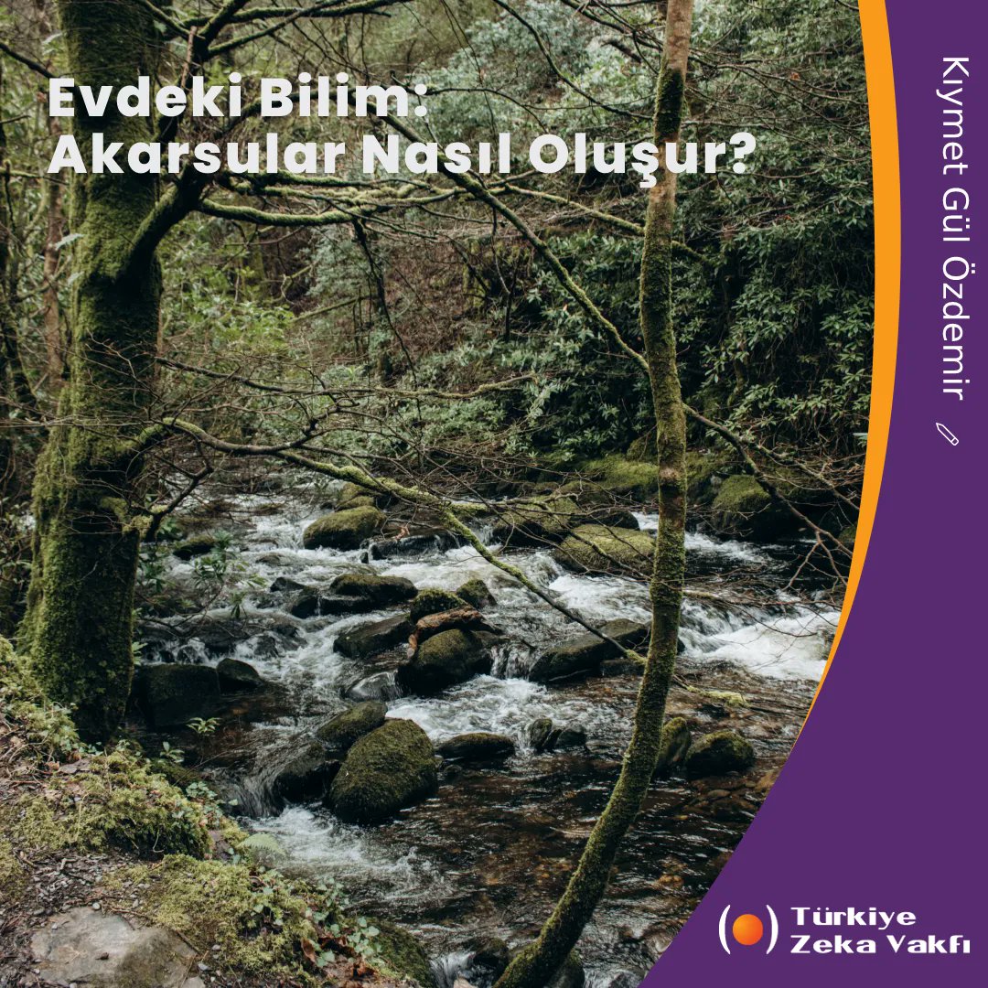 zekavakfi's tweet photo. Akarsuların nasıl oluştuğunu keşfedin! Basit deney: Kağıtları buruşturun, boyayın, suyu sıkın ve akarsuları izleyin! Detaylar için: https://t.co/Qt43k1J30Q 🌊🔍
#Akarsular #KeşifZamanı #Deney #Eğlence https://t.co/MhrsS3M3Xc