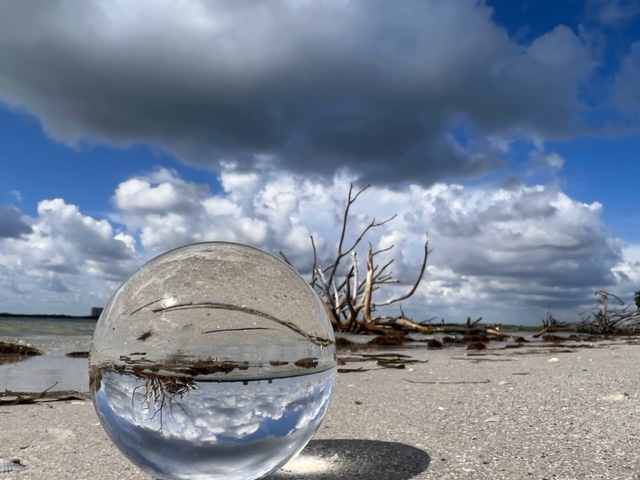 TownofFMB's tweet photo. Hope you are out enjoying Saturday!
Here are some beach pictures to light up your day.
Thanks for the pics, Bob from BASE!
#ILoveFMB
#FMBeach
#FMBeautiful
#SWFLife
##GulfLife
#EsteroIsland
#Shorebirds
#Manatees https://t.co/S34a2hh0h9