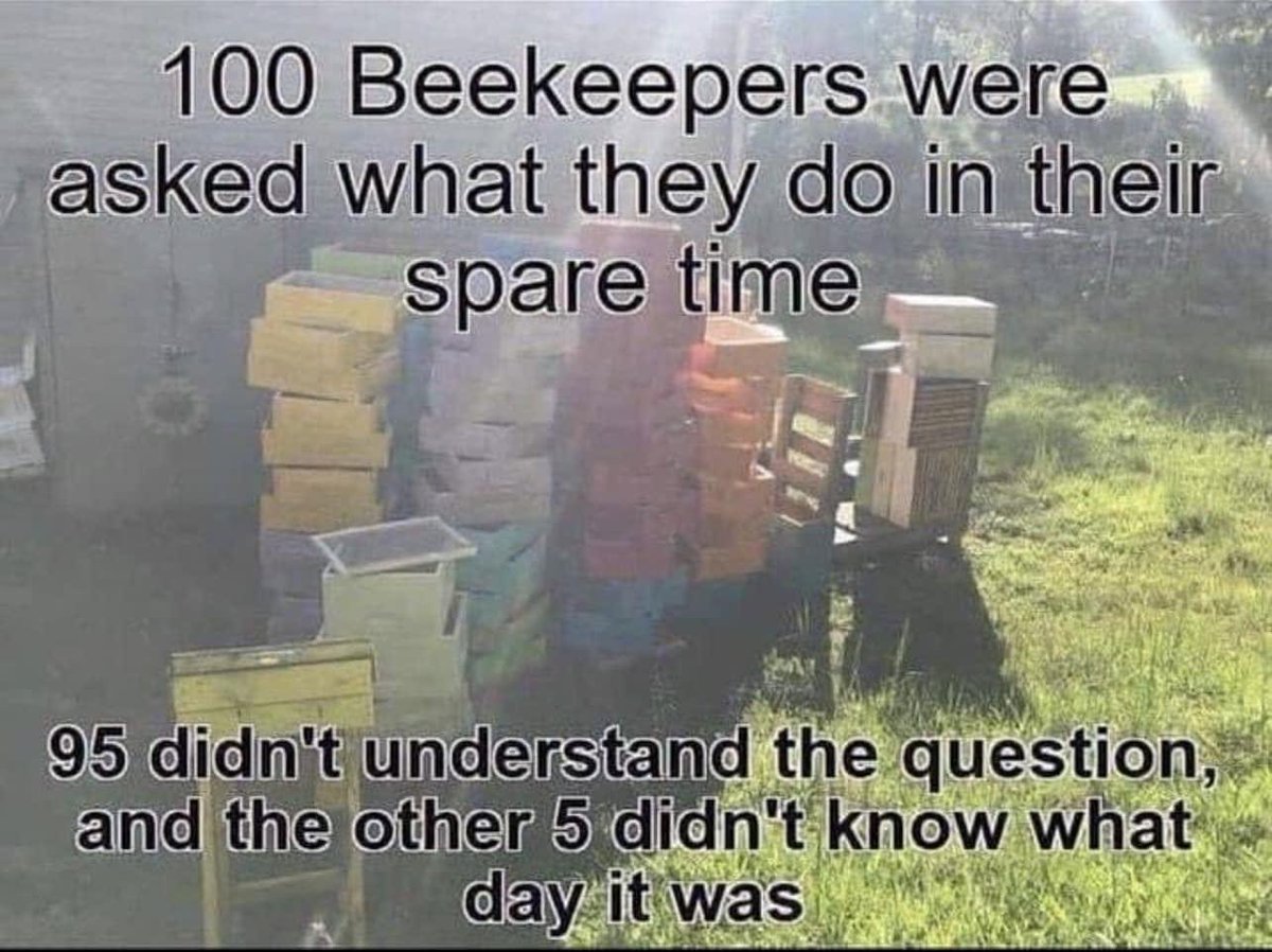 Spare time? What’s that?