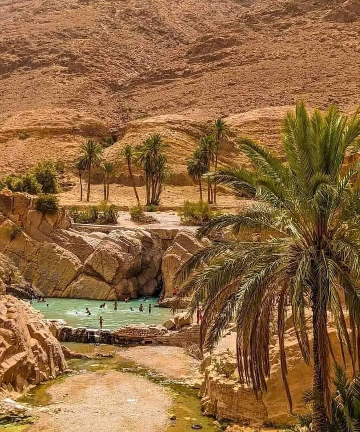 Paysage a coupé le souffle, cet oisis a bous3ada 🌿🇩🇿🌎💚