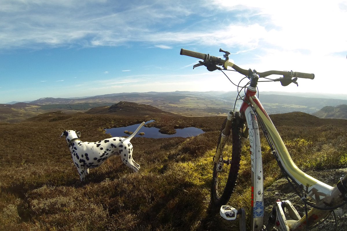 Happy May Bank Holiday weekend 🌻🌳💙

Where will you go, and what will you do, this weekend? If you’re thinking #adventure, #Aberfeldy is the place!

visitaberfeldy.co.uk/see-do

#VisitAberfeldy #MayBankHoliday #Perthshire #ConnectWithNature #GetActive #TurnOffTheA9 #WeekendFun