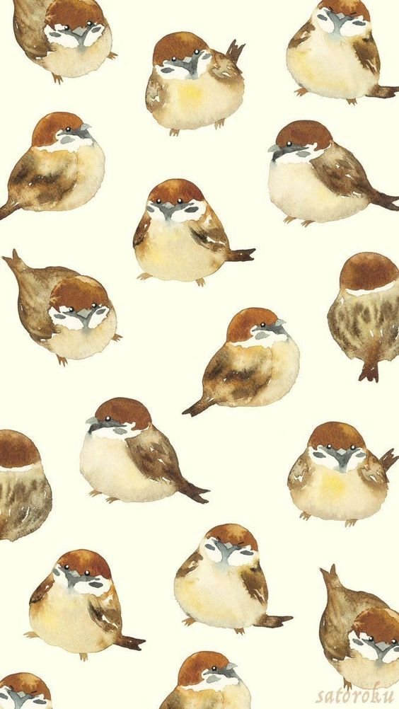 Тред Антон для ваших тви оформлений 🤎