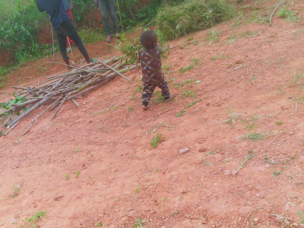 NtDavid5's tweet photo. #umuganda 🎯

Aha ni #Bugesera-mbuganzeri village.
 #umugandasuwabakuze

@BugeseraDistr , @bugeserayouth https://t.co/pKGU6oKjfg