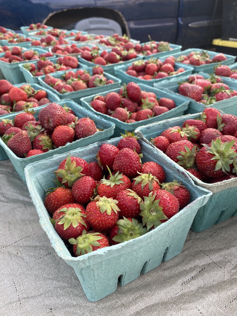 TulsaFarmersMarket (@tulsafarmersmkt) on Twitter photo Miller Farms from Stilwell, OK will be one of our many vendors at this morning’s farmers market!
7-11 am Admiral & Lewis - across from <a href="/circlecinema/">Circle Cinema</a> 🍓🧑🏼🌾🚜🫛 Miller Farms from Stilwell, OK will be one of our many vendors at this morning’s farmers market!
7-11 am Admiral & Lewis - across from <a href="/circlecinema/">Circle Cinema</a> 🍓🧑🏼🌾🚜🫛