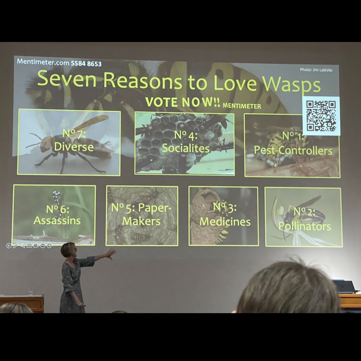 ogglio's tweet image. We went to a lecture by @WaspWoman yesterday at @morethanadodo about wasps 🐝 We thought they were thugs, but it turns out they are great pollinators and pest-controllers, and so are very handy to have around at the grove 🌳💚🫒

#ogglio #Oxford #EndlessForms #LoveInsects #WASPS