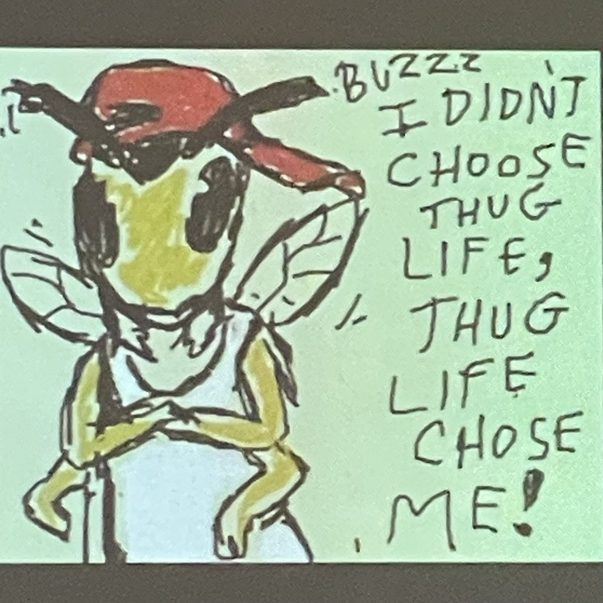 ogglio's tweet image. We went to a lecture by @WaspWoman yesterday at @morethanadodo about wasps 🐝 We thought they were thugs, but it turns out they are great pollinators and pest-controllers, and so are very handy to have around at the grove 🌳💚🫒

#ogglio #Oxford #EndlessForms #LoveInsects #WASPS