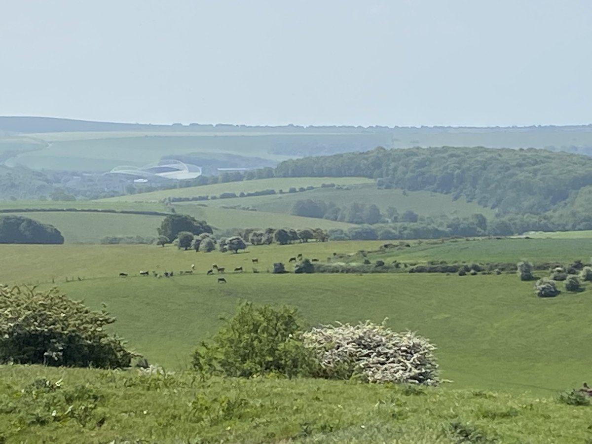 Nice view of the Amex after a not so nice run up Ditchling Beacon. #BHAFC