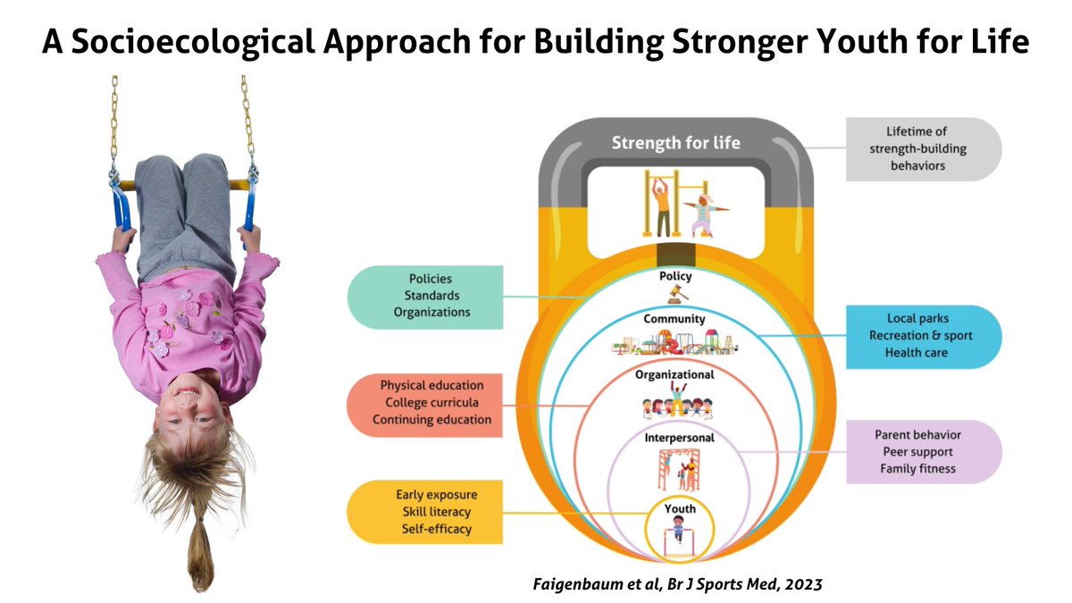 Multiple strategies consistent with a socioecological approach will be needed to move population-level participation in strength-building activities to the desired level. BJSM Editorial rb.gy/4xguc