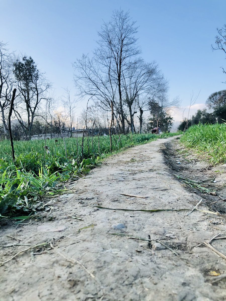 kee2489's tweet image. مجھے میرے گاؤں کی سادگی کمال لگتی ہے❤️

#VillageVibes